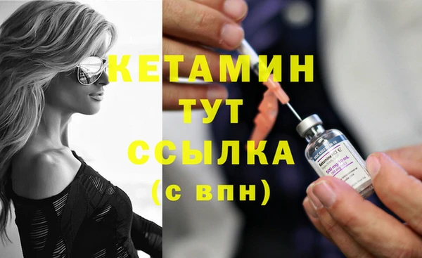 прущие грибы Балахна