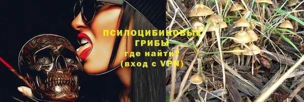 скорость mdpv Белокуриха