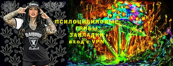 гидра Белоозёрский